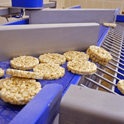 SP2 Food Grease - voor het smeren van kettingen, glijbanen, tandwielen en lagers van vulmachines, verpakkingsmachines, kneedmachines, mengers, roerders en persen die in aanraking komen met voedingsmiddelen of farmaceutische producten.