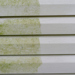 Groene aanslag verwijderaar